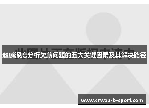 赵鹏深度分析欠薪问题的五大关键因素及其解决路径