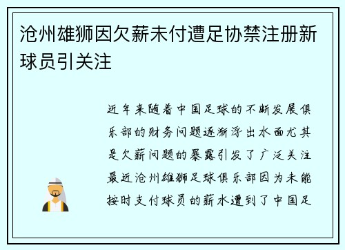 沧州雄狮因欠薪未付遭足协禁注册新球员引关注